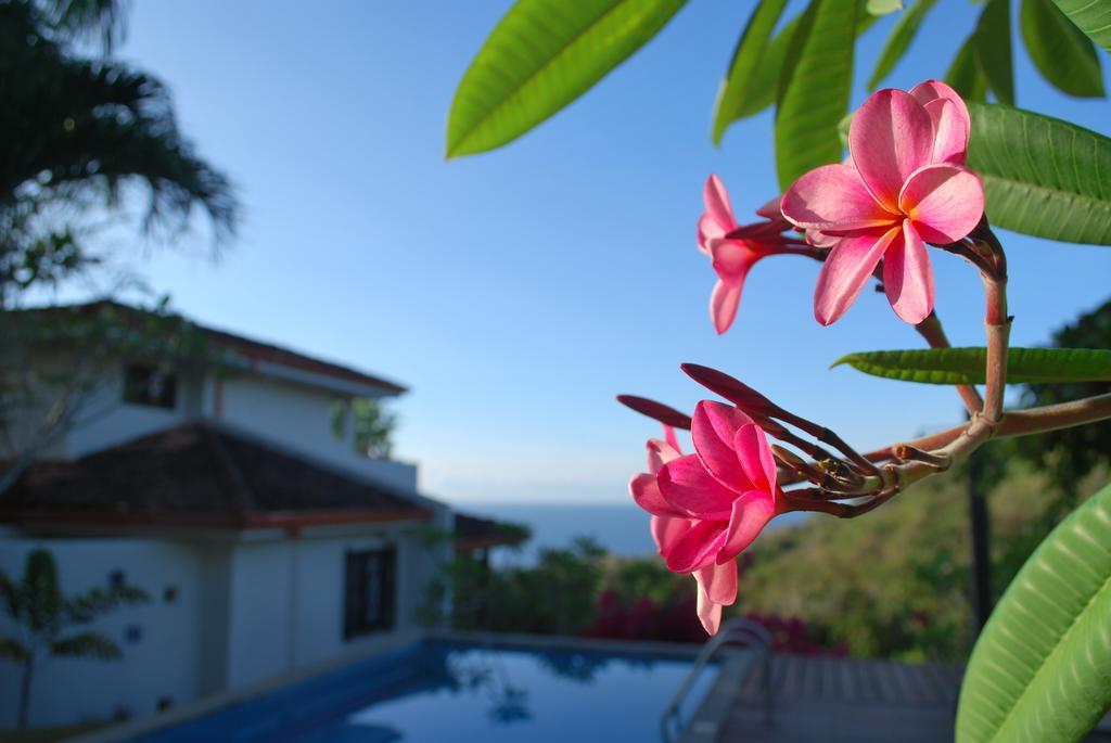 Casa Frangipani Hotel Montezuma Bagian luar foto